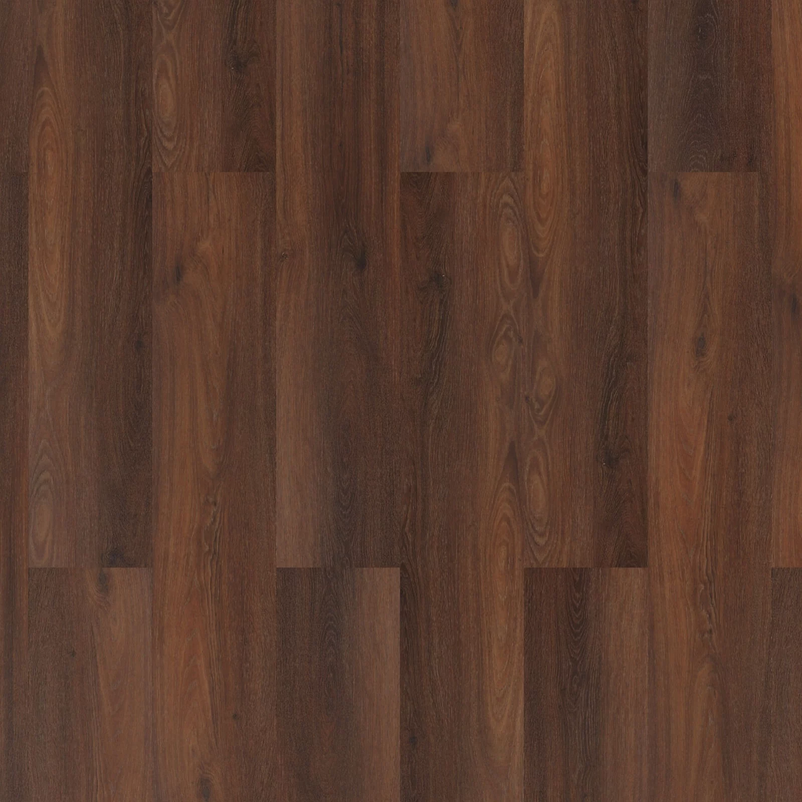 ROOM5 Executive Gold Planks Dryback