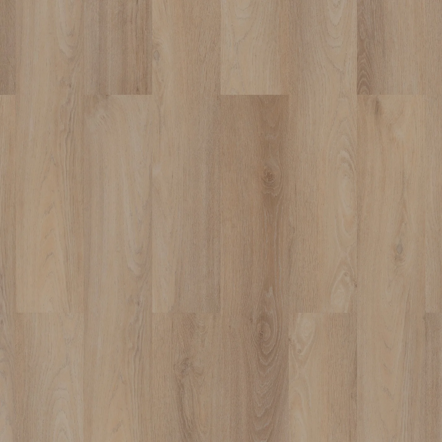 ROOM5 Royal Champagne Planks