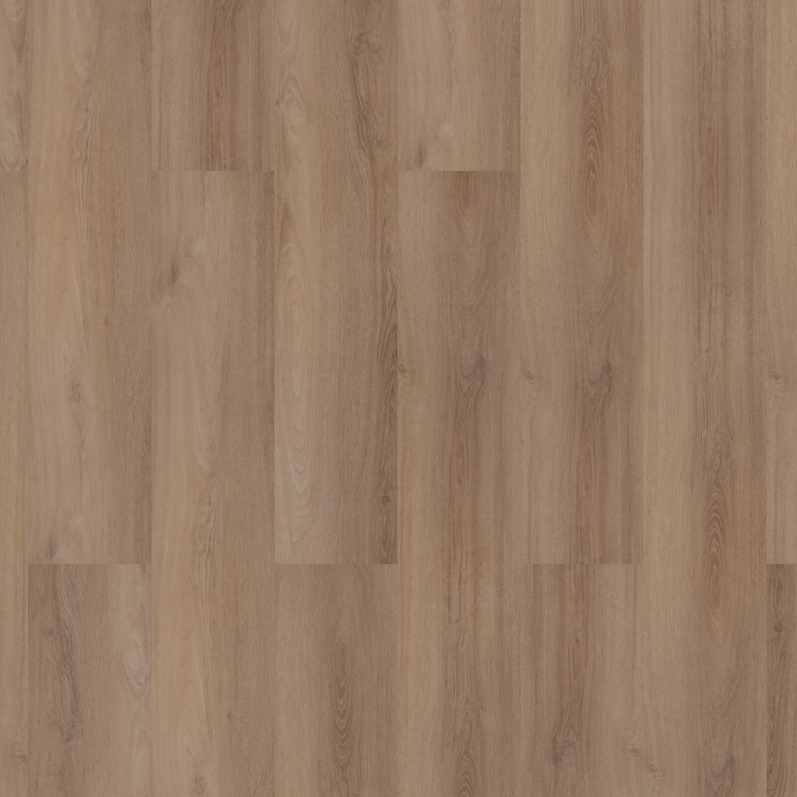 ROOM5 Superior Beige Planks Dryback