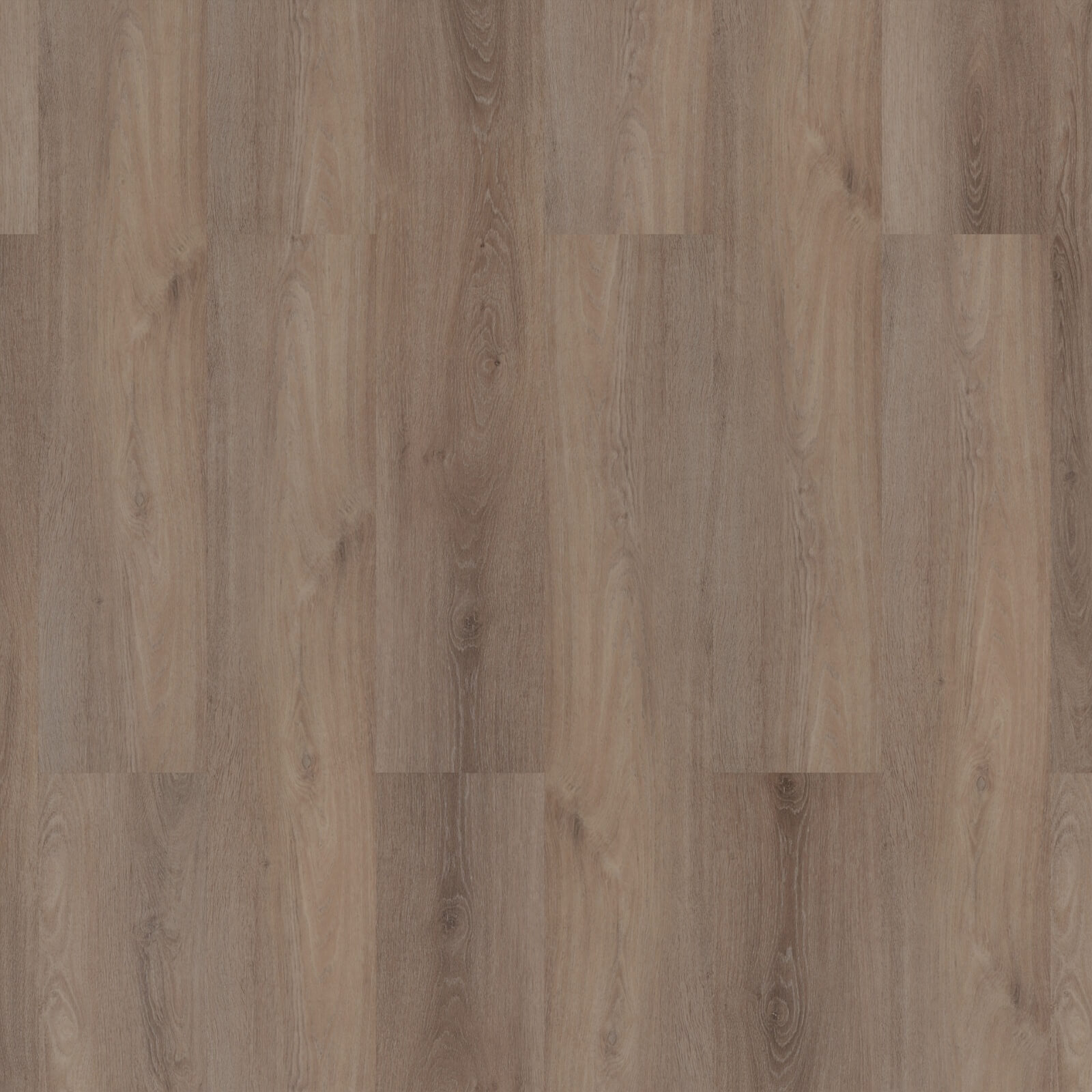 ROOM5 Ambassador Oak Planks Dryback