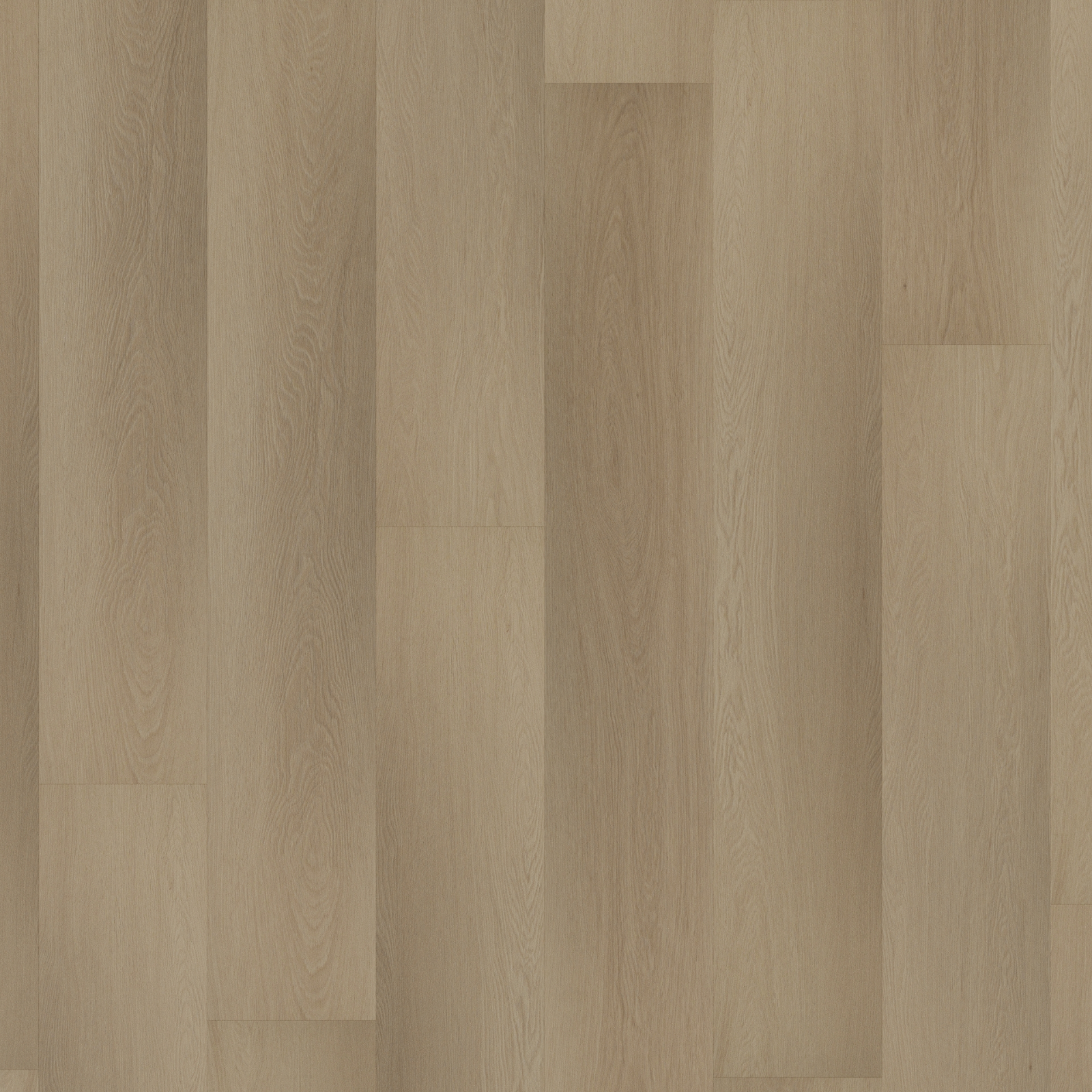 ROOM5 Charming Suite Planks Dryback