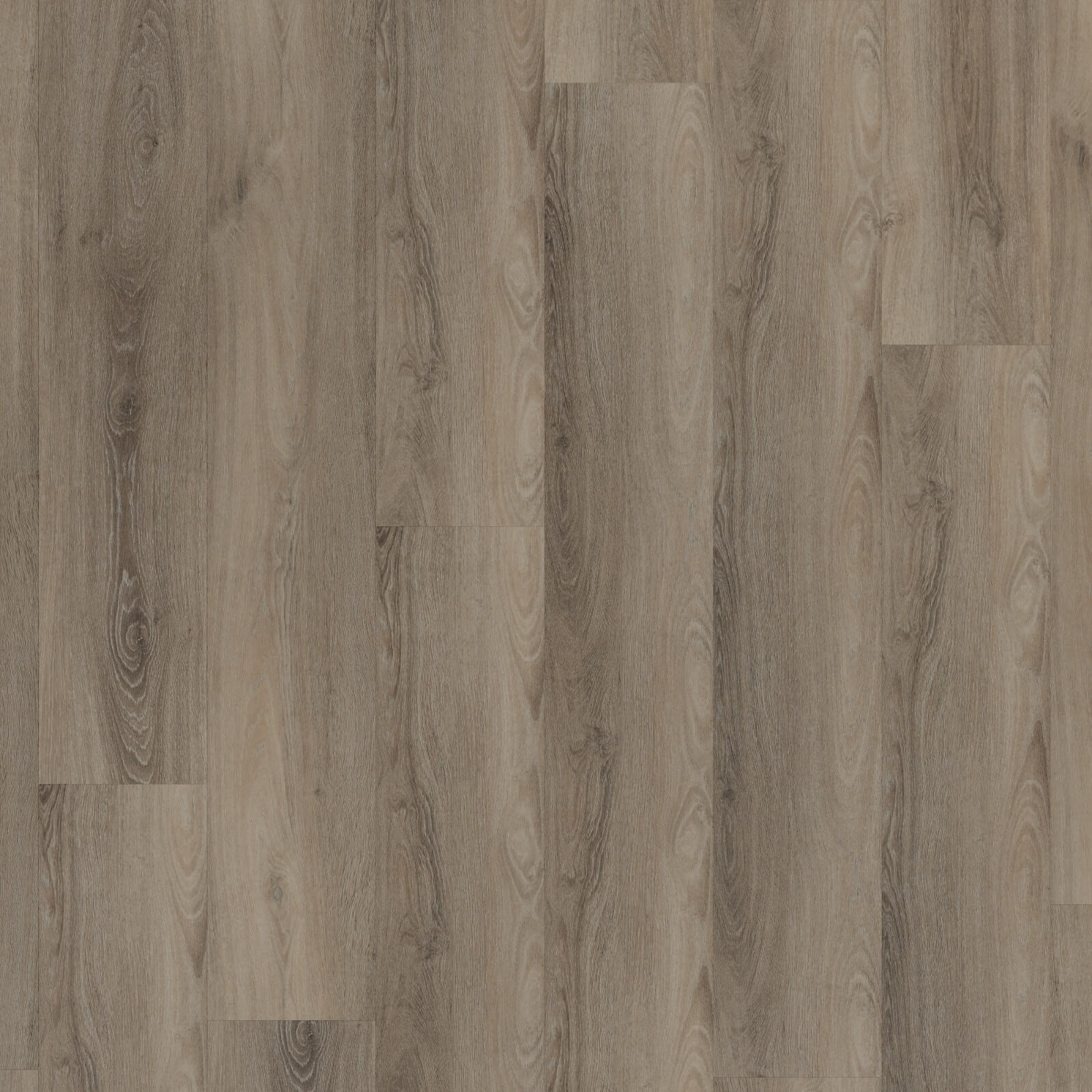 ROOM5 Presidential Oak Planks Dryback