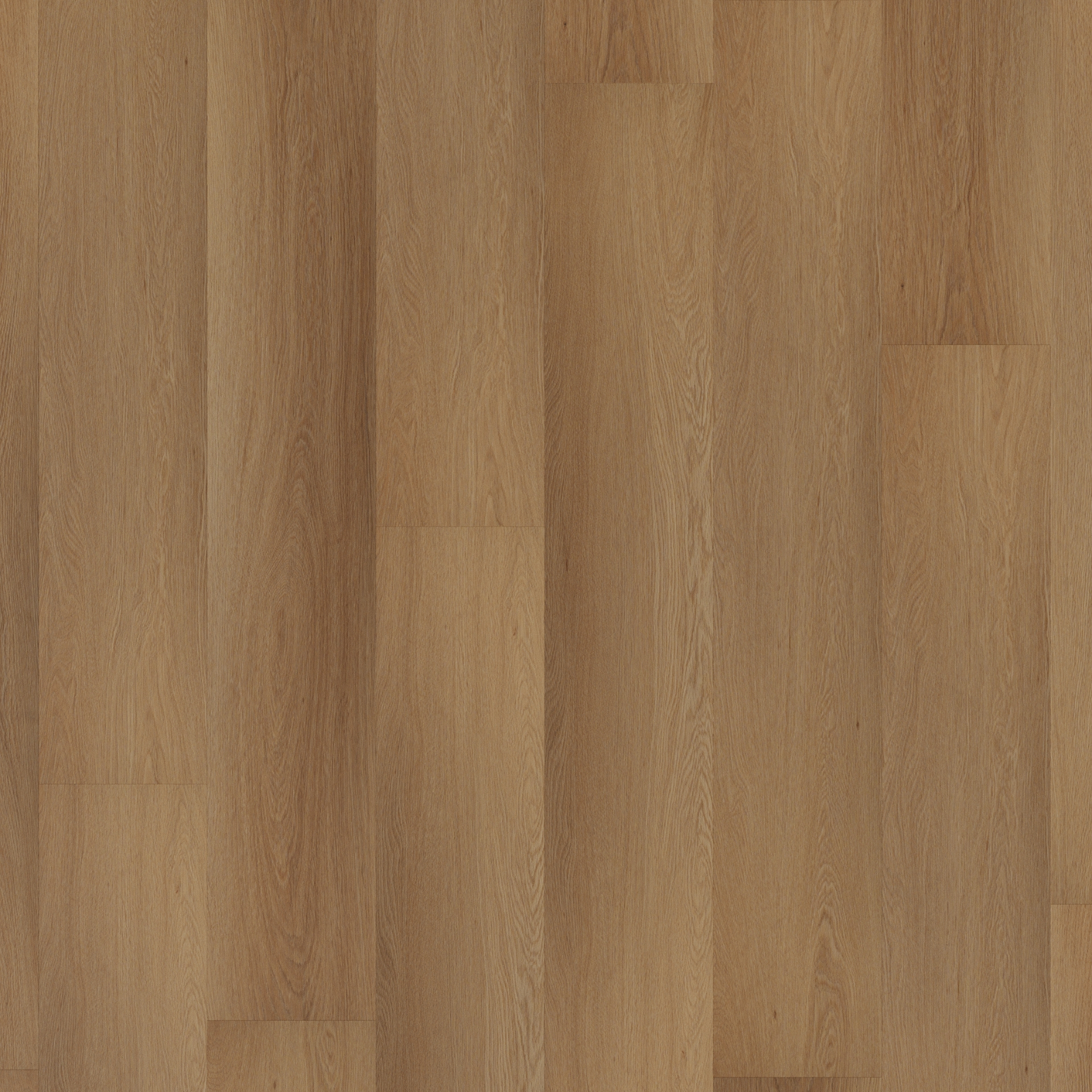 ROOM5 Western Hemlock Planks Dryback